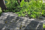 Completed shingle roof project
